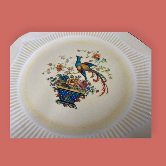 🦚 ANTIQUE IVORY FROM SALEM CHINA DINNER PLATE PHEASANT BIRD ON BRANCH 9" YELLOW - Picture 2 of 5